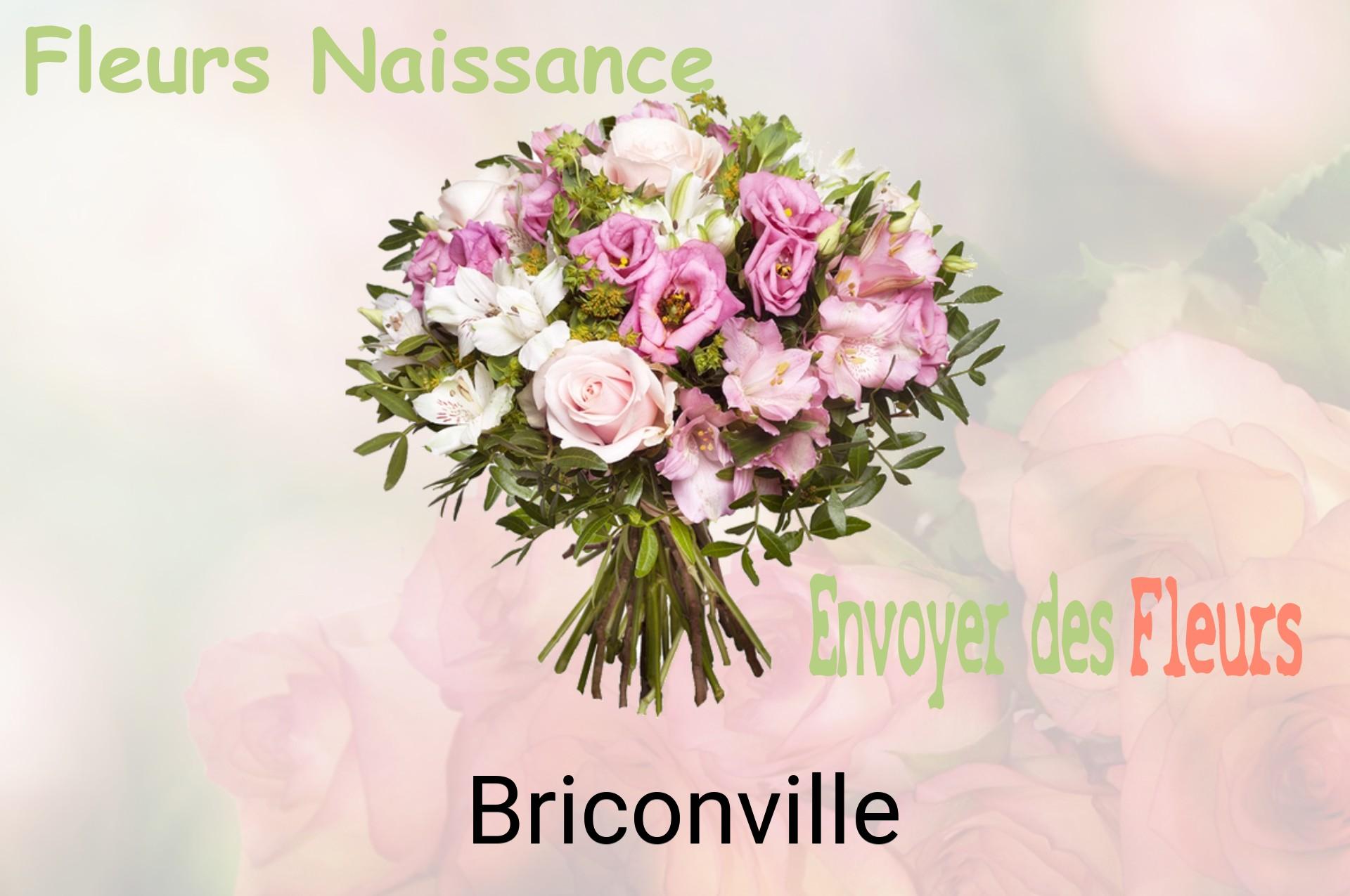 Bouquet de fleurs de naissance livré à Briconville